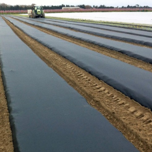 Film de Paillage Biodégradable Noir 1m80