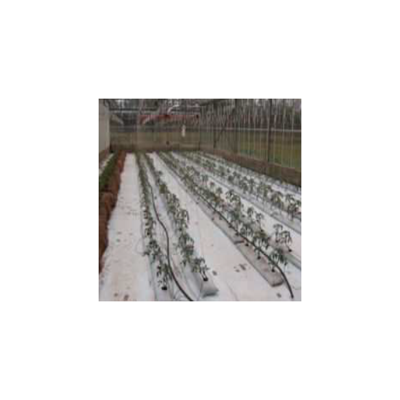 Film de Paillage Hors Sol Blanc / Noir 1m60