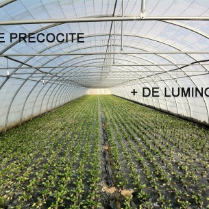 Bâche Pour Serre 13m50 2