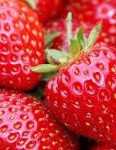 Fraise Blanc/noir