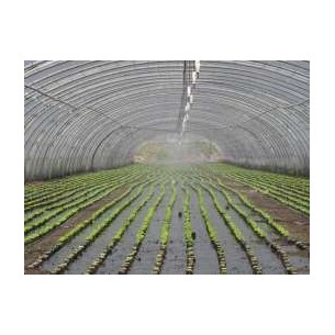 Film de Paillage Pour Salade
