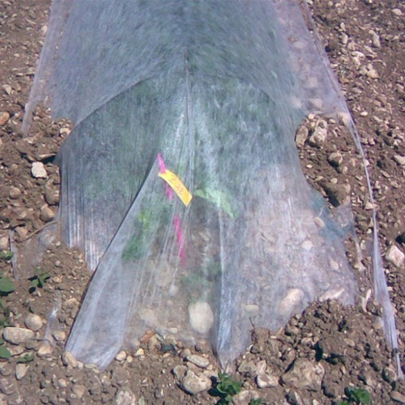 Voile d'Hivernage 2m10