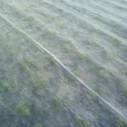 Voile d'Hivernage 17gr/m²