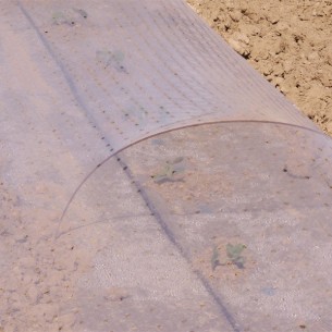 Film de Forçage Multitrous...