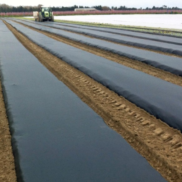 Film de Paillage Biodégradable Noir 1m60