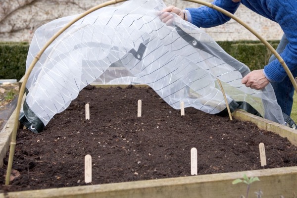 Protégez vos plantes du froid avec un voile d’hivernage